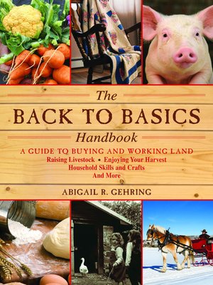 cover image of The Back to Basics Handbook